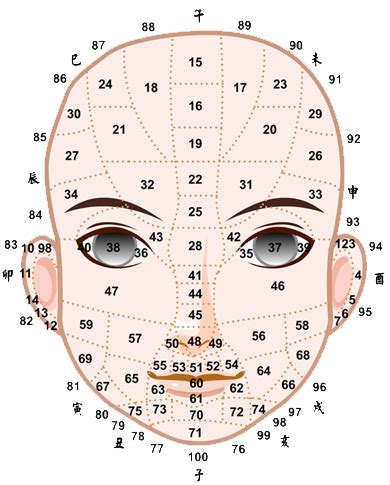 面相年齡|【面相年齡】一窺你的面相年齡：用九執流年法、面相學，瞭解你。